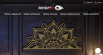 payidarts.com Ekran Görüntüsü